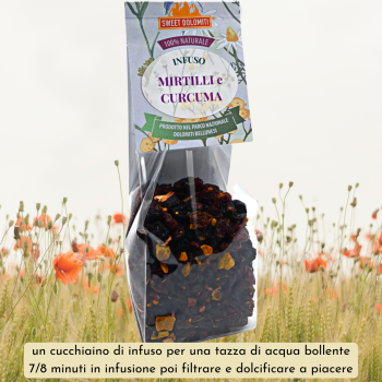 MIRTILLI e CURCUMA9